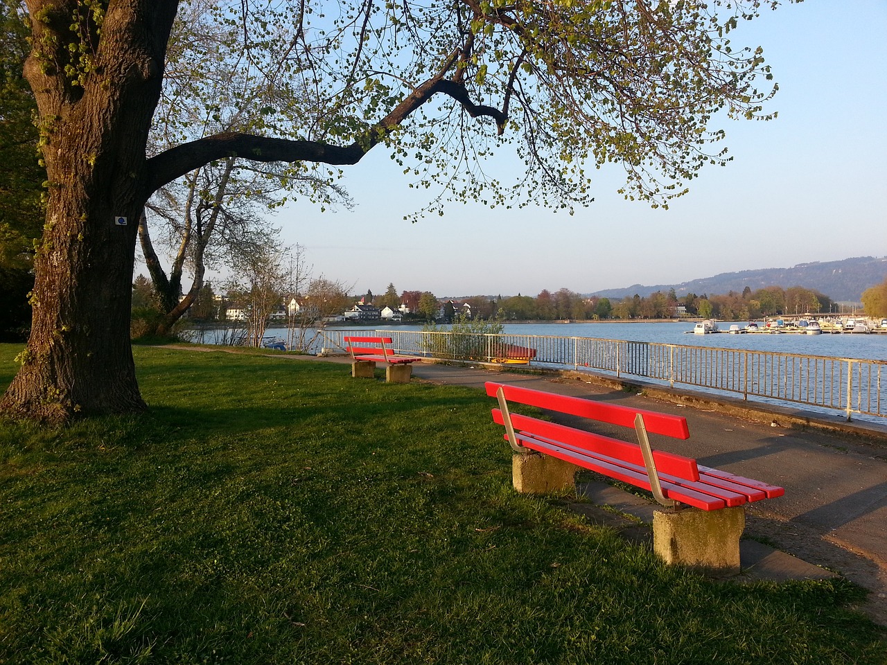 威少21分11助攻约基奇44分13篮板 国王绝地反击终结八连败