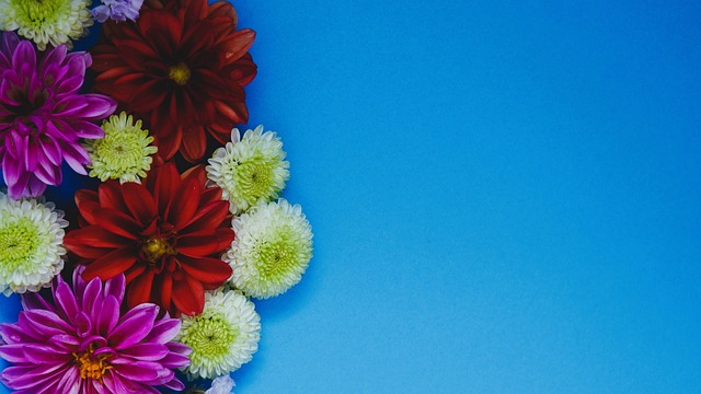 不适应防弧！林诗栋／蒯曼2-1杜达／温特！国乒2-1领先德国！