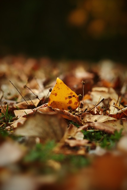カount