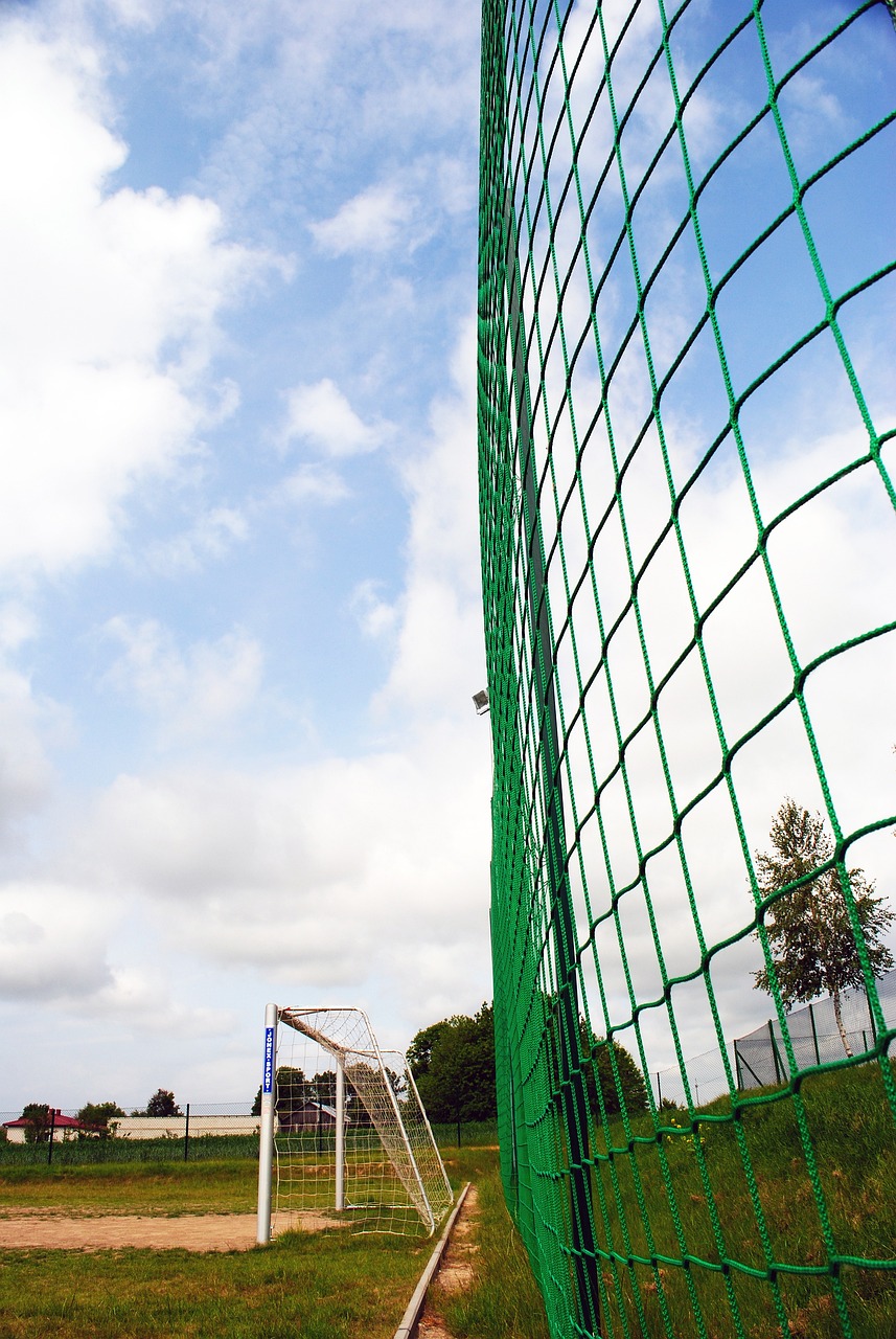 球员状态以 球员状态以