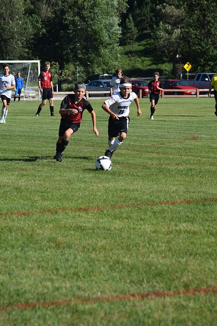 了内部沟通 了内部沟通