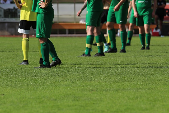 带动多项运 带动多项运